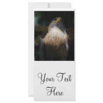'Totem Hawk' Customized Rack Card