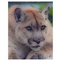 'Totem Panther' Flyers