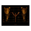 Totem posters by DeVico Totem posters