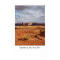 Totem & Yei-Bi-Chei posters