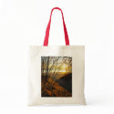 Totes for Every Occasion bags