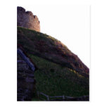 Totnes Castle Post Card