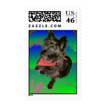 Toto with sunglasses postage by Mike64 Toto with sunglasses postage