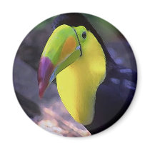 Toucan 1 magnet by nefera Toucan 1 magnet