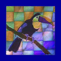 Toucan 3 magnet magnets