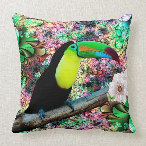 toucan pillow pet