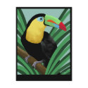 wildlife postcards