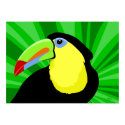Toucan Art Posters and Prints