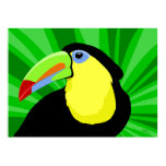 Toucan Art Posters and Prints