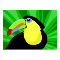 Toucan Art Posters and Prints