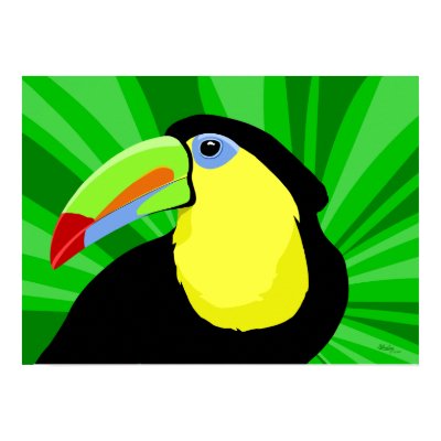 Toucan Art Posters and Prints by waterart