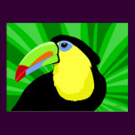 Toucan Art Posters and Prints