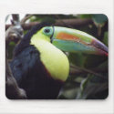 Toucan Bird mousepad