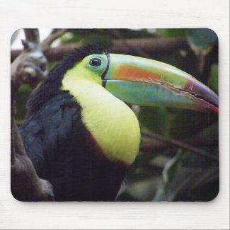 Toucan Bird mousepad