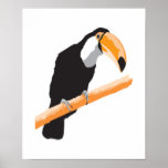 toucan bird posters
