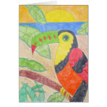 Toucan by Abby cards