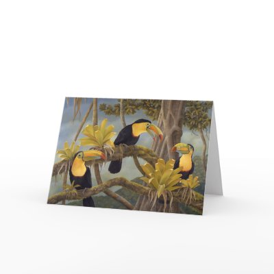 Toucan Card by Laura_Regan_Artist