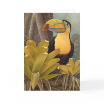 Toucan Card