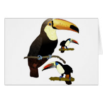 Toucan Cards
