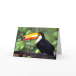 'Toucan' cards