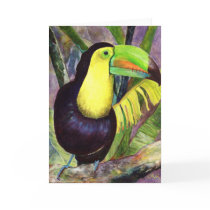 Toucan Greeting Card