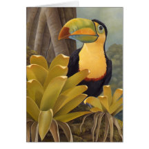 Toucan Card