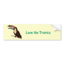 Toucan Carved of Tropical Woods Bumper Sticker