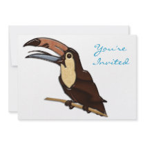 Toucan Carved of Tropical Woods Announcement