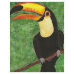 Toucan flyers