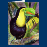 Toucan cards