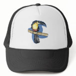 Toucan hats