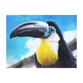 Toucan in Misty Air digital tropical bird painting Canvas Print