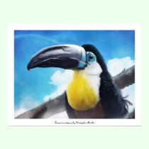 Toucan  in misty air poster posters