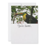 Toucan in the Jungle Personalized Announcement
