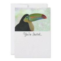 Toucan Announcements