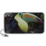 Toucan ipad iphone computer speakers