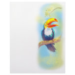 Toucan Letterhead Design