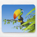 toucan mousepads