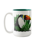 Toucan