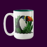 Toucan