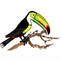 Toucan Photo Sculpture