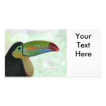 Toucan Photo Card