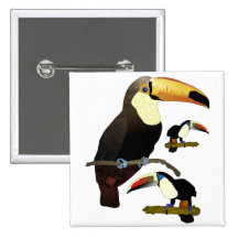 Toucan Pin