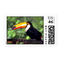 "Toucan" postage