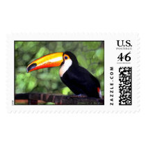 "Toucan" Stamp