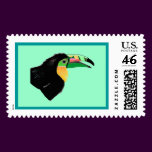 Toucan
