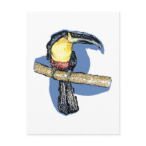 Toucan postcards by evisionarts Toucan postcards