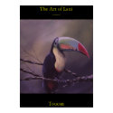Toucan posters by lani444 Toucan posters