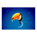 Toucan posters by vladstudio Toucan posters