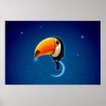 Toucan posters
